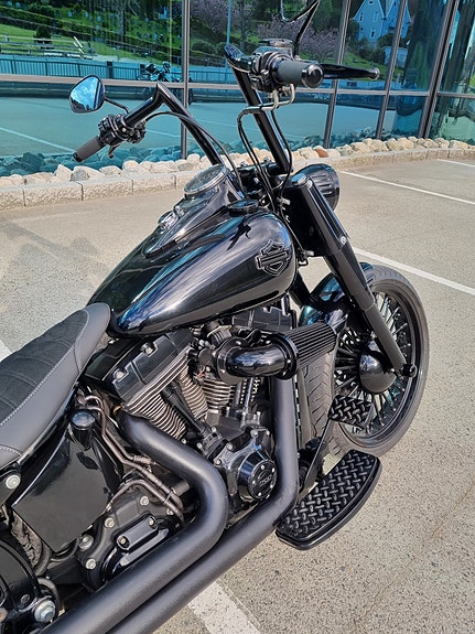 Harley-Davidson Softail Custom 20 of 30