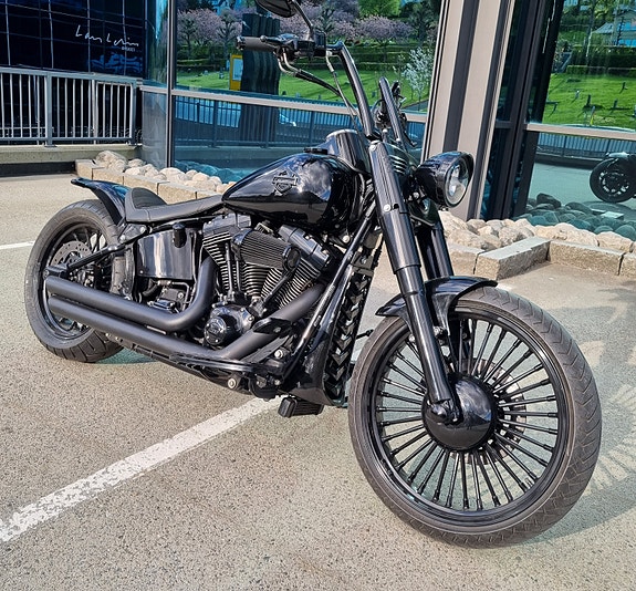 Harley-Davidson Softail Custom 21 of 30