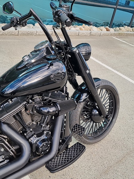 Harley-Davidson Softail Custom 30 of 30