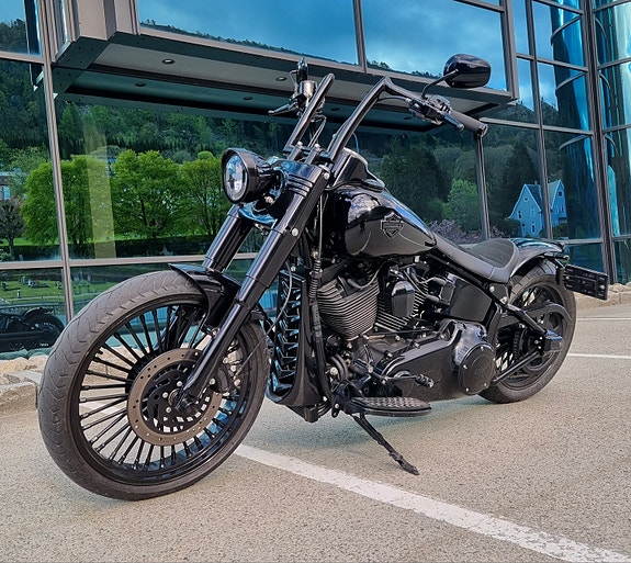 Harley-Davidson Softail Custom 16 of 30