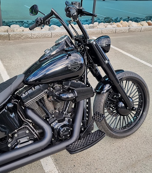 Harley-Davidson Softail Custom 5 of 30