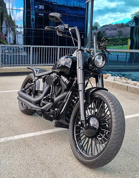 Harley-Davidson Softail Custom 28 of 30