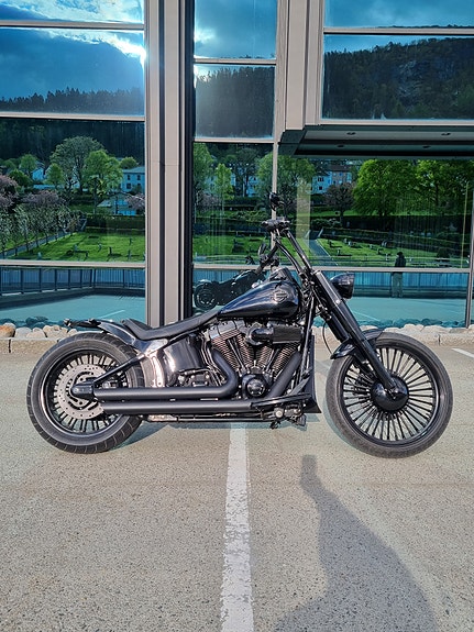 Harley-Davidson Softail Custom 23 of 30
