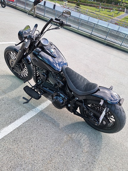 Harley-Davidson Softail Custom 7 of 30
