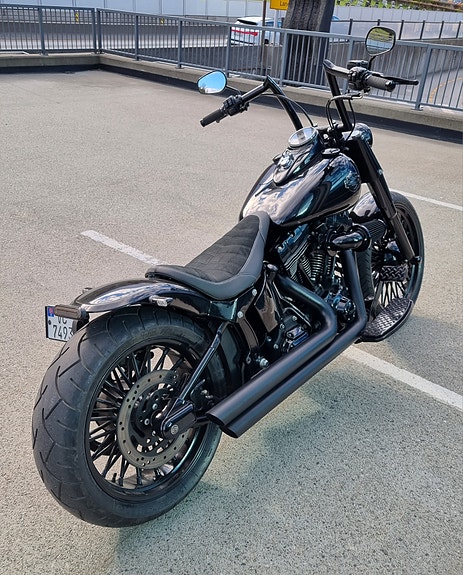Harley-Davidson Softail Custom 12 of 30