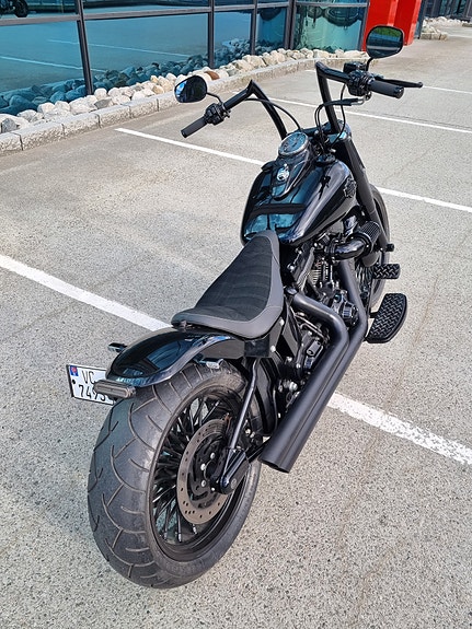 Harley-Davidson Softail Custom 19 of 30
