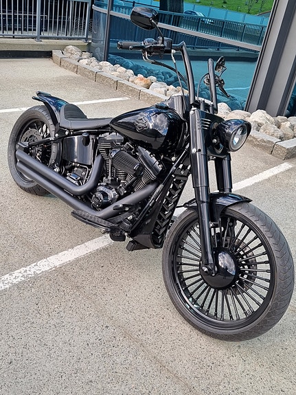 Harley-Davidson Softail Custom 6 of 30