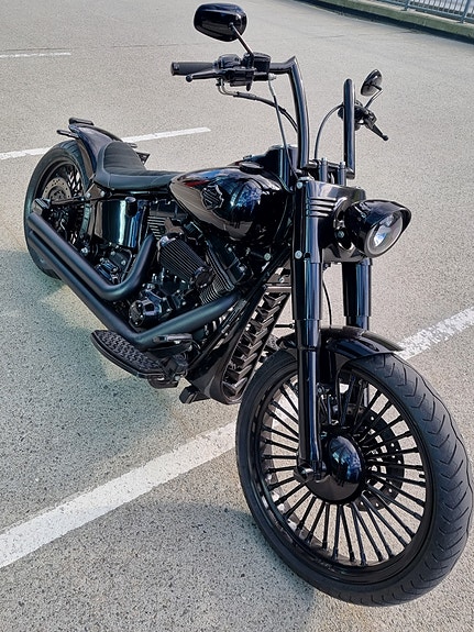 Harley-Davidson Softail Custom 17 of 30
