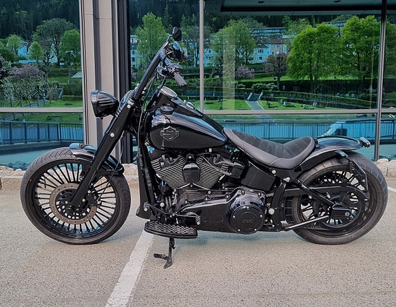 Harley-Davidson Softail Custom 9 of 30