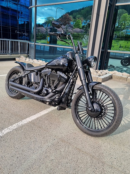 Harley-Davidson Softail Custom 14 of 30