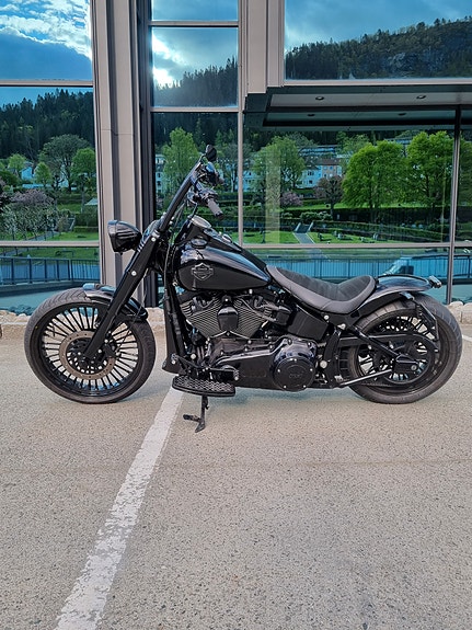 Harley-Davidson Softail Custom 15 of 30