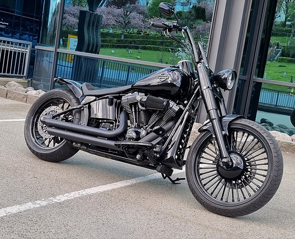 Harley-Davidson Softail Custom 2 of 30