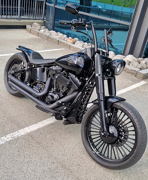 Harley-Davidson Softail Custom 26 of 30