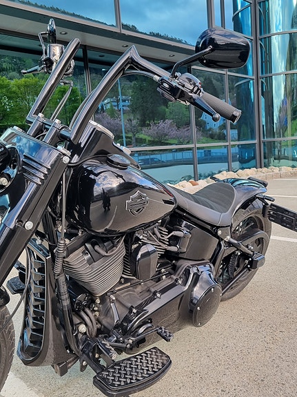 Harley-Davidson Softail Custom 11 of 30