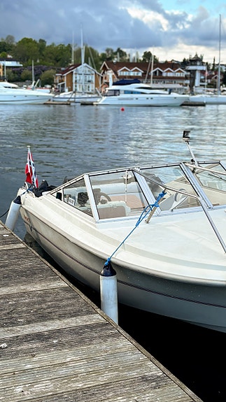 Daycruiser Wester 18 2 of 15