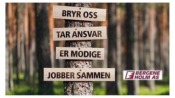 Bilde 3 av 5 i jobbannonse-galleriet