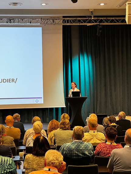 Gjennomføring av landskonferanse