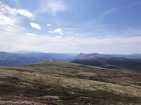 ØkoRåd Østerdalen SA logo