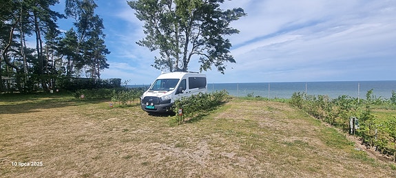 Ford FORD CAMPER 2016 NY PRIS 329 000 21 of 30