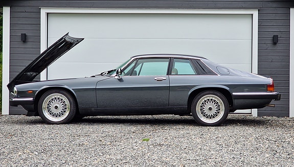 Jaguar XJS 12 of 13