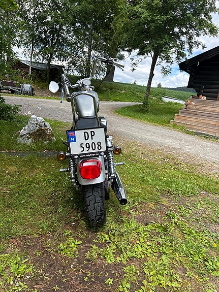 Harley-Davidson XL 883 Sportster 5 of 5