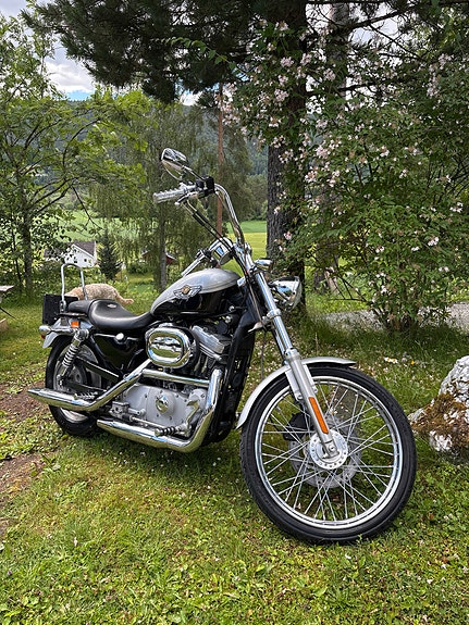 Harley-Davidson XL 883 Sportster 4 of 5
