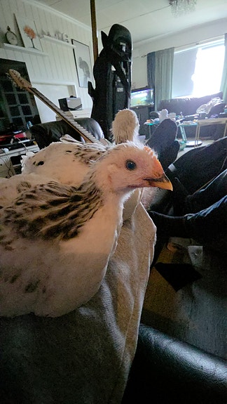 Product image 3 of 9
