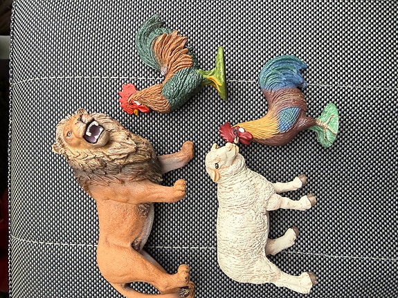 Product image 4 of 10