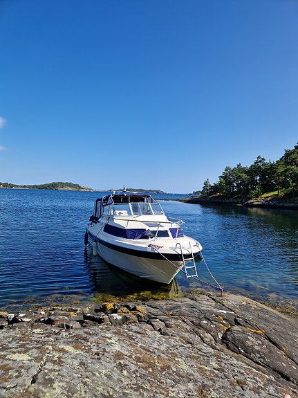 Marex Suncruiser 2 of 5
