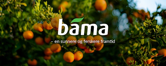 Bilde 3 av 3 i jobbannonse-galleriet