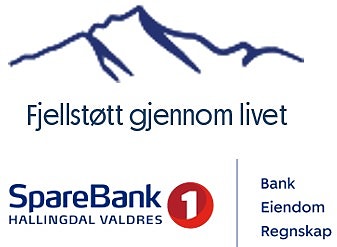 SpareBank 1 Hallingdal Valdres logo