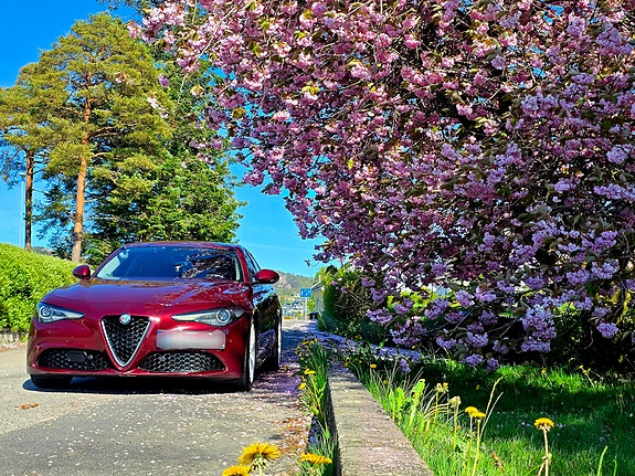 Alfa Romeo Giulia 7 of 15