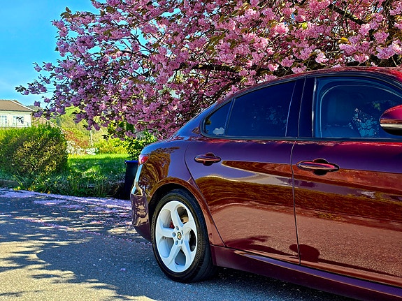 Alfa Romeo Giulia 2 of 15