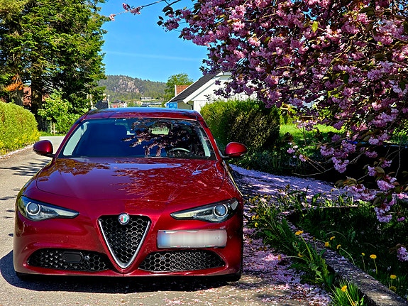 Alfa Romeo Giulia 6 of 15