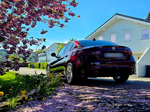 Alfa Romeo Giulia 4 of 15