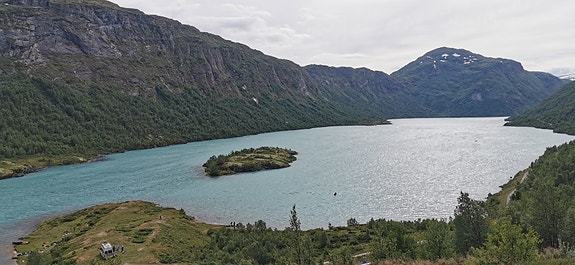 Bilde 1 av 1 i jobbannonse-galleriet