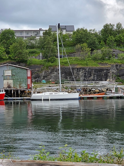 Hanse 370 selgest  Ny pris 830000 3 of 5