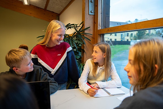 Bilde 1 av 1 i jobbannonse-galleriet