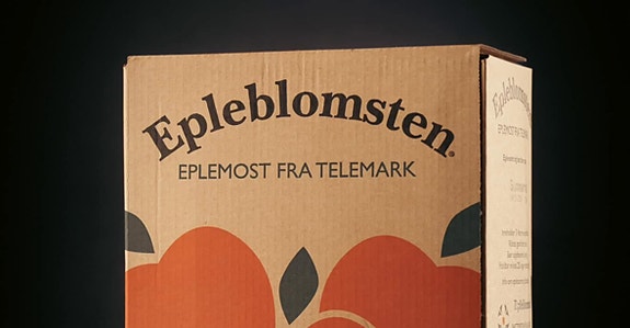 Bilde fra arbeidsgiver