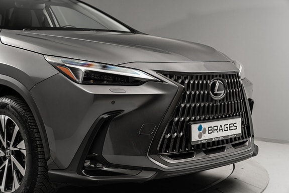 Lexus NX450h 11 of 25
