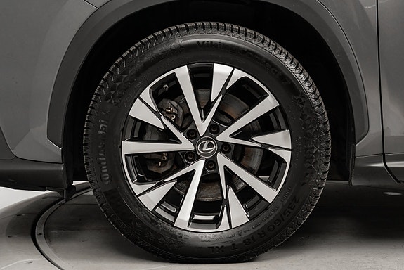 Lexus NX450h 7 of 25