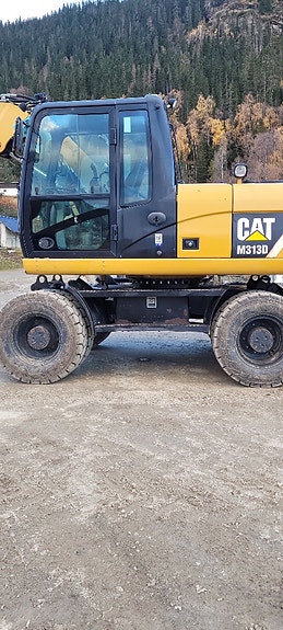 Cat M313D 5 of 5