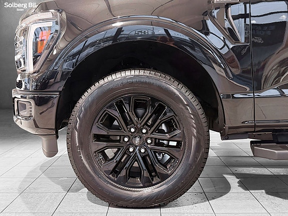 Ford F-150 18 of 30