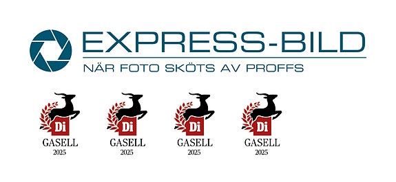 Bilde 1 av 1 i jobbannonse-galleriet