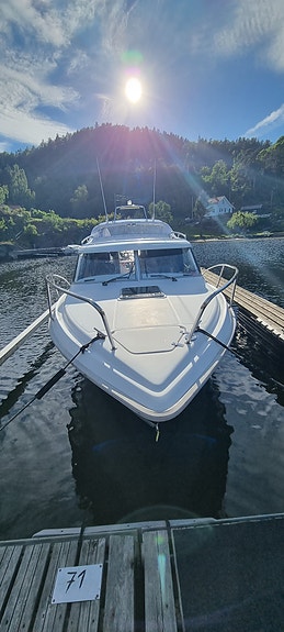 Bella falcon 2 of 5