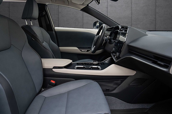 Lexus RZ450e 17 of 19