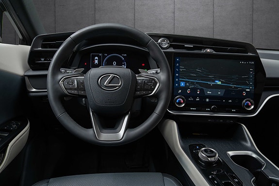 Lexus RZ450e 11 of 19