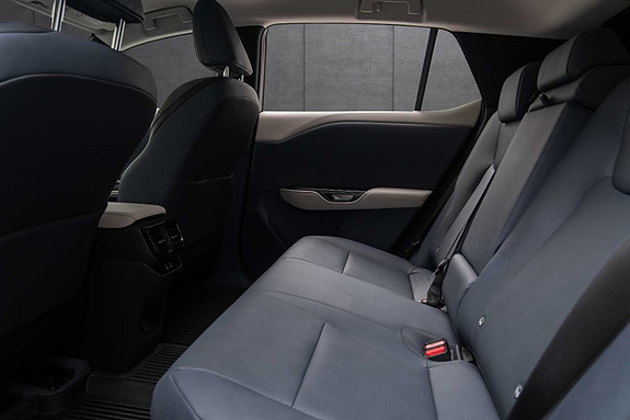 Lexus RZ450e 15 of 19
