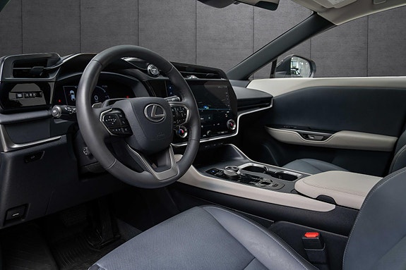 Lexus RZ450e 10 of 19
