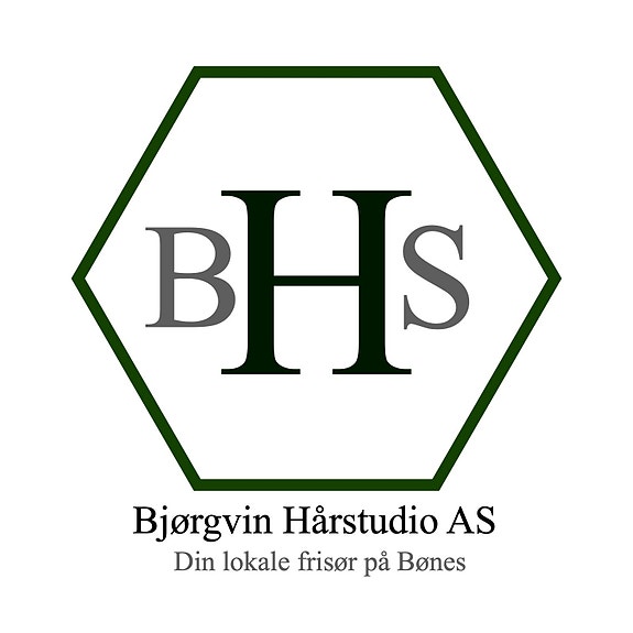 Bjørgvin Hårstudio As logo